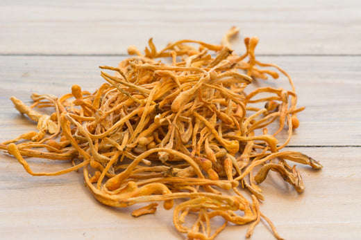 Health Benefits of Cordyceps